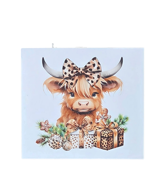 Leopard Print Box Set